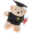 thumbnail image 5 of KAKOWELY Muñeco de peluche de oso de graduación, oso de peluche, regalo de graduación, lindo oso de peluche de doctor., 5 of 5