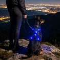 thumbnail image 3 of Dog Reflective Harness Vest for Night Walk, Light Up Safety Vest for Small Medium Breed, Adjustable Straps for Secure Fit, Breathable Mesh Fabric, 3 of 6