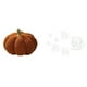 thumbnail image 1 of Almohadas de calabaza de Halloween,Almohadas de calabaza de Halloween Decoración del hogar Suave,Cojines de calabaza para Halloween,peluches,sofá,Adhesivo de pared,Calcomanías de pared de, 1 of 8