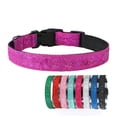 thumbnail image 5 of Vibrant Pet Collar - High Stability and Decorating - Bright Colors - Collars for Small Dogs and Kittens, 5 of 8