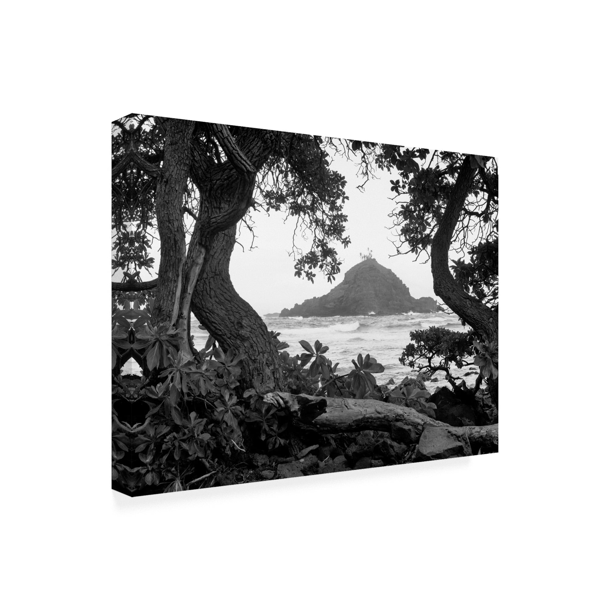 Trademark Fine Art 'Long Hanna Drive Maui Hawaii' Canvas Art by Monte Nagler