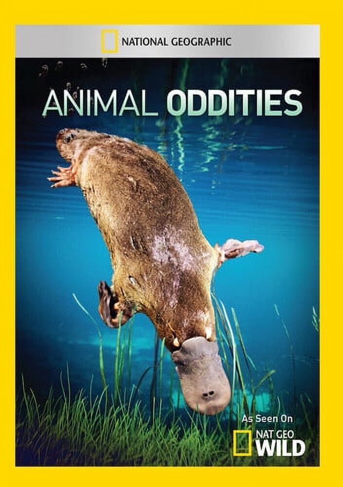 Animals Great and Small: Nature Documentary Collection (DVD), Mill