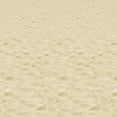 thumbnail image 2 of Beach Backdrop 4' X 30' - 6 Pack (1 Per Package), 2 of 2