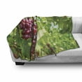thumbnail image 3 of Grape Soft Flannel Fleece Throw Blanket, Bunch of Concorde Wine Fruits Blurred Backdrop Country Vineyard View, Cozy Plush for Indoor and Outdoor Use, 50" x 60", Lime Green Dark Coral, by Ambesonne, 3 of 6