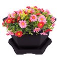 thumbnail image 3 of unbranded 1Jgo Maceta De Plástico Hexagonal Para Cultivo De Y Plantas Suculentas, 3 of 8