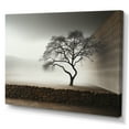 thumbnail image 2 of Designart "Minimalist Photography Of A Serene Tree" Tree Wall Decor, 2 of 7