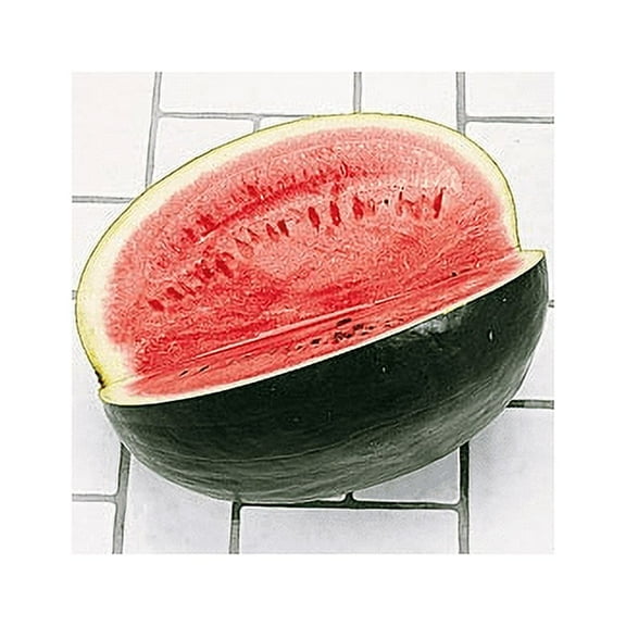 Seed Kingdom Watermelon Black Diamond Great Heirloom Vegetable Bulk 1 Lb Seeds