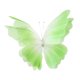 thumbnail image 5 of Mariposa de gasa artificial, decoración de mariposa gigante, con base grande Verde, 5 of 9