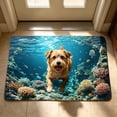 thumbnail image 5 of HCBY Doormat, 15.7x23.6in 3D Illusion Funny Welcome Mat, Non-Slip Absorbent Floor Rug, Humane Pet Deterrent Mat for Entryway Indoor Outdoor, 5 of 6