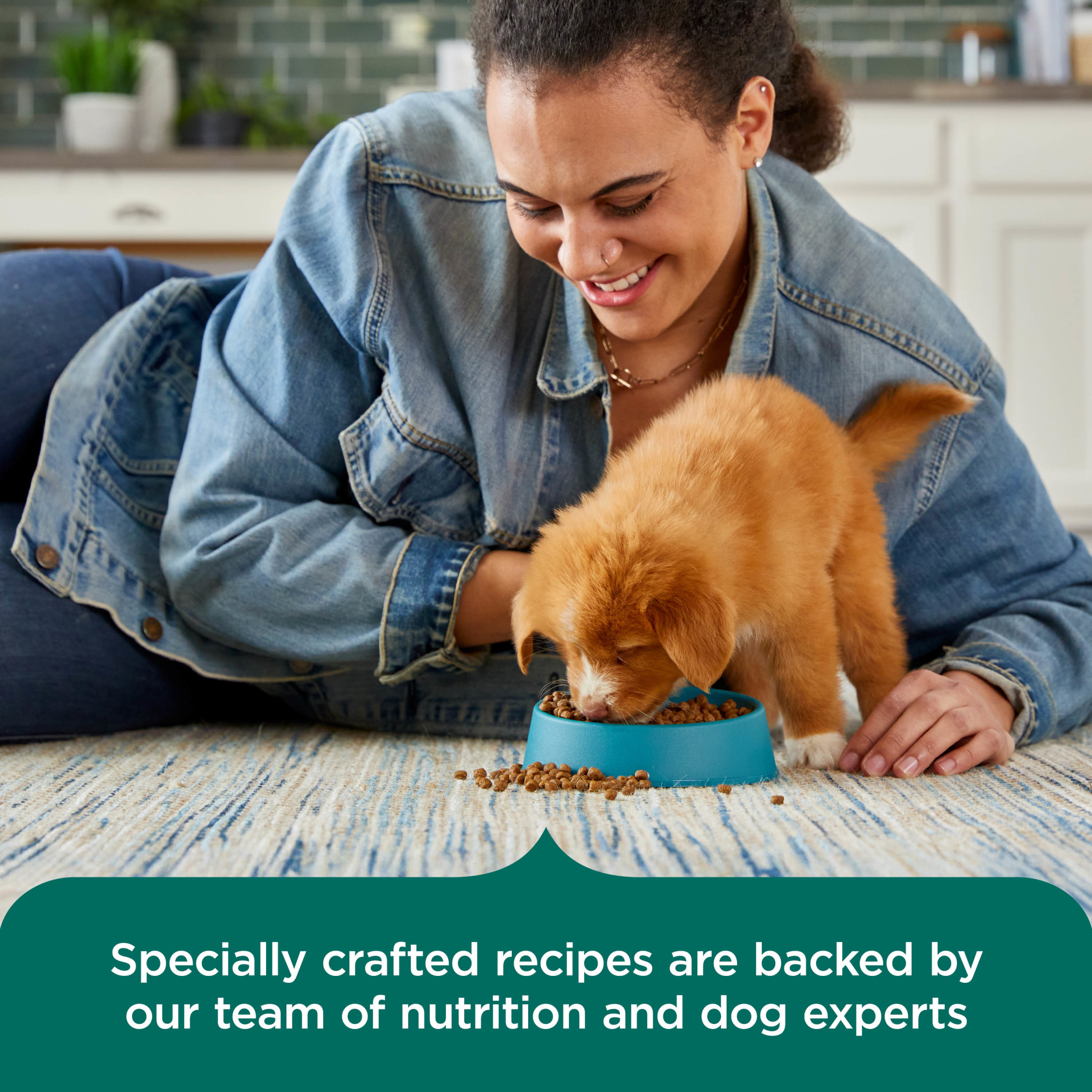 Rachael Ray Nutrish Puppy Chicken Brown Rice Dog Food photo 6