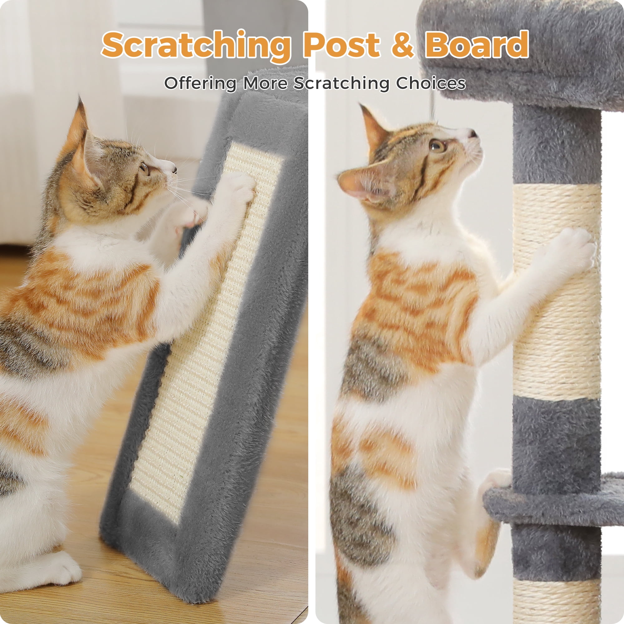 PAWZ Road 36" Cat Tree for Indoor Cats with Cat Condo Scratch Posts Cozy Hammock and Scratch Ladder, Dark Gray