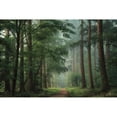 thumbnail image 3 of Podt, Martin 24x17 Black Modern Framed Museum Art Print Titled - Moody Green, 3 of 5