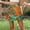 c04Green, variant on Hduncf (S-5XL) Plus Size Skorts for Woman High Waisted Skirt Fashion Printed Zipper Versatile Athletic Golf Skort Workout Sport Summer Skirt Green L