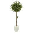 thumbnail image 1 of Nearly Natural 9229 5 in. Olive Topiary Artificial Tree in White Planter, 1 of 4