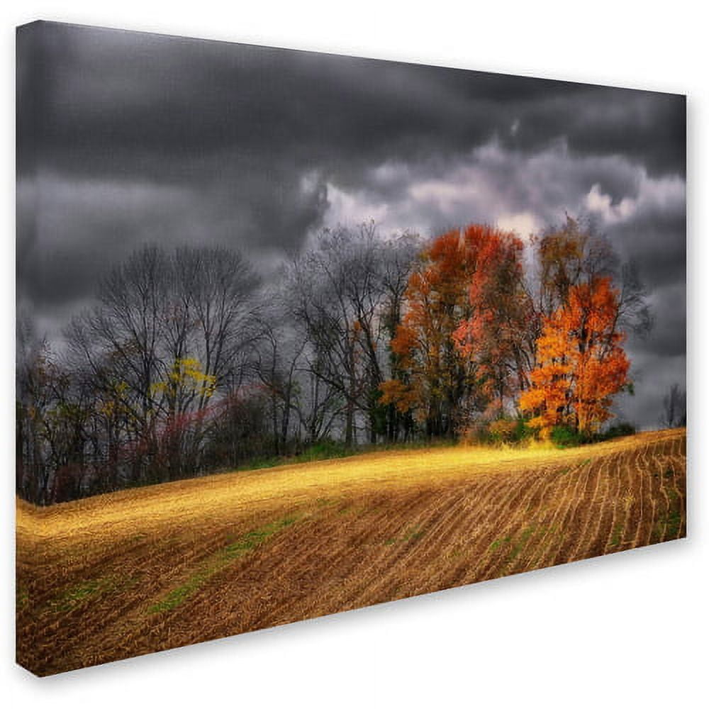 Trademark Fine Art "Autumn Field" Canvas Art by Lois Bryan