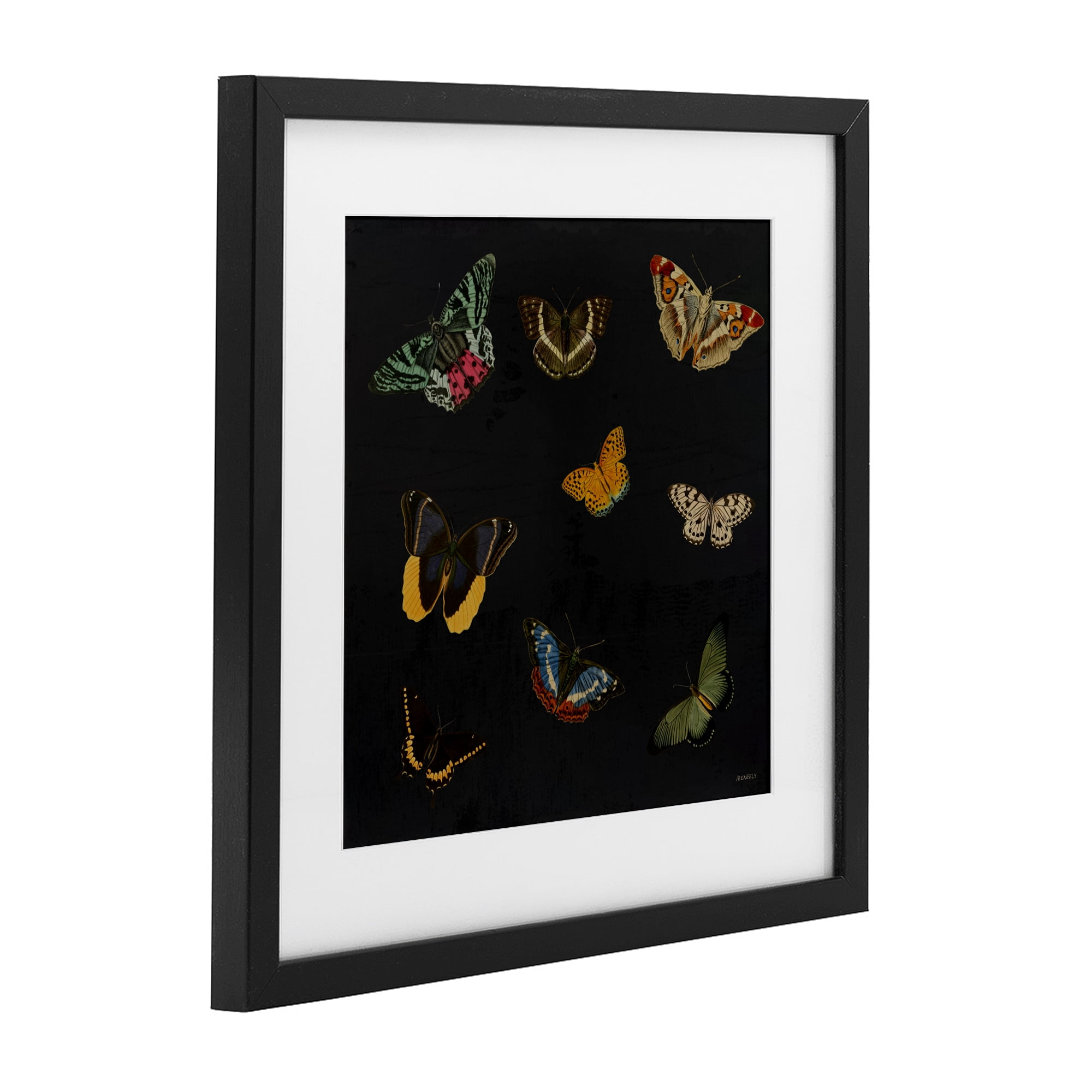 Stupell Industries Butterfly & Moth Collection Black Framed Print Under Glass, design by Dan Meneely