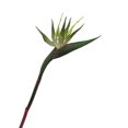 thumbnail image 2 of Xingzhi Réaliste pour l'Application d'Apparence Réaliste Réaliste S Vert, 2 of 6