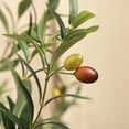 thumbnail image 3 of Kazeila Artificial Olive Tree 6FT Tall Faux Silk Plant for Home Office Decor Indoor Fake Potted Tree with Wood Trunk and Fruits, 3 of 7