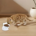 thumbnail image 3 of Bol Surélevé pour Chat avec Design Incliné pour une Alimentation Confortable et un Nettoyage Facile, Gamelle pour Animal, 3 of 4