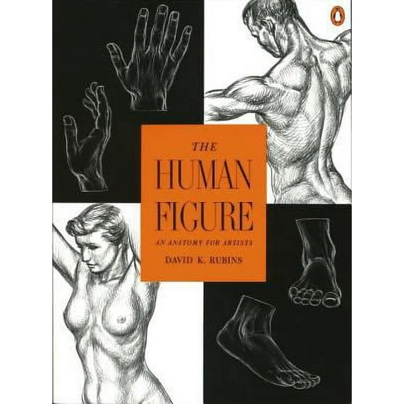 Pre-Owned The Human Figure : An Anatomy for Artists 9780140042436
