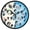 Cute Dogs Face, variant on Dailycode Night Light Wall Clock Glow in The Dark 12 inch Battery Operated Silent Luminous Clocks, Hand Drawn Colorful Daisies