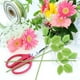 thumbnail image 2 of RomaMX 30 piezas de tallo de flor de rosa, rama única con hojas, tallo de rosa, tallo decorativo de rosa de plástico, 2 of 8