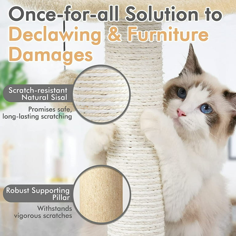 34 Tall Cat Scratching Post for Indoor Cats Large Cat Claw Scratcher w/  Premium