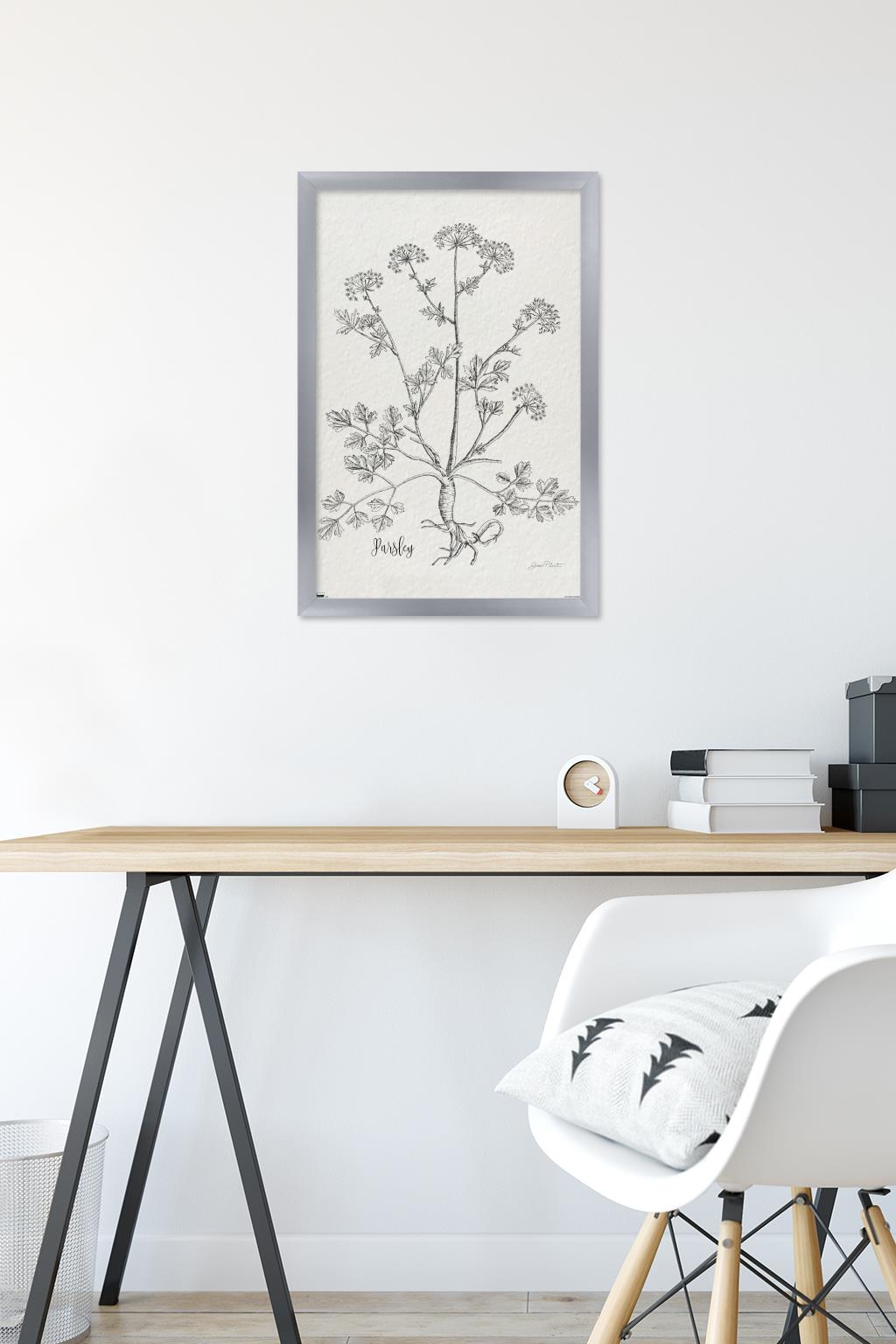 Jean Plout - Botanical Studies on Paper Parsley Wall Poster, 14.725" x 22.375" Framed