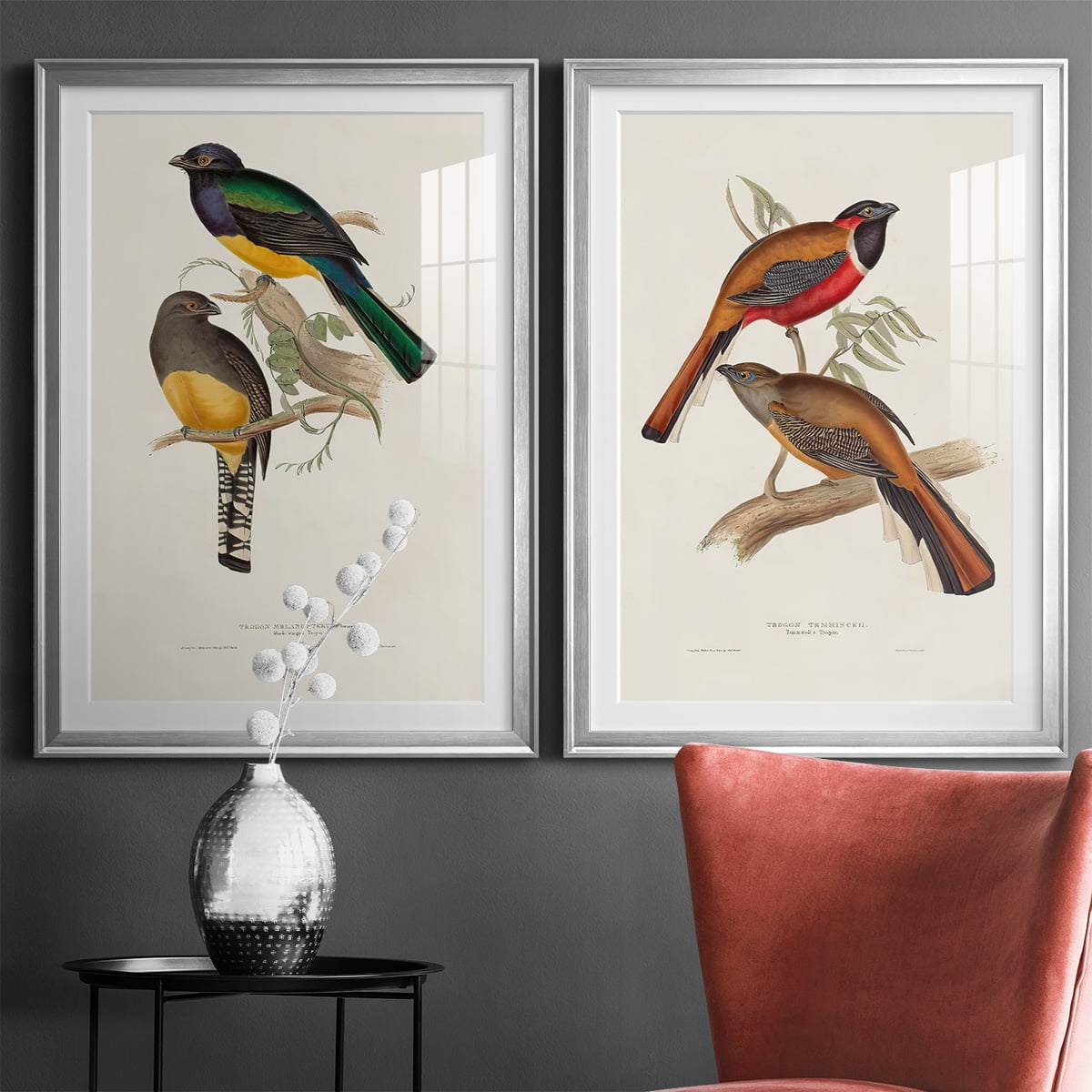 Wexford Home Elegant Trogons III Premium Framed Print, 18.5" x 24.5" - Ready to Hang, Silver (Set of 2)