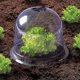 thumbnail image 3 of Campana de ensalada x12 invernadero protector para plantas-Aleko ACTIVE Biensenido a ACTIVE, 3 of 5