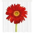 thumbnail image 3 of Ambesonne Gerber Daisy Shower Curtain, Closeup Flower Photo, 69"Wx84"L, Vermilion Apple Green, 3 of 5