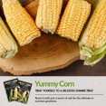thumbnail image 4 of 2 Packets of Golden Bantam Sweet Corn Seed - Non-GMO Heirloom Full Sun Annual Vegetable, 4 of 7