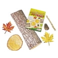 thumbnail image 2 of JUNIOR LEARNING Autocollants de Sentier NATURE, 2 of 4