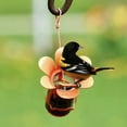 thumbnail image 4 of Songbird Essentials Grape Jelly Oriole Feeder, Fits Most 10-12oz Jelly Jars, Orange Plastic Bird Feeder, 4 of 8