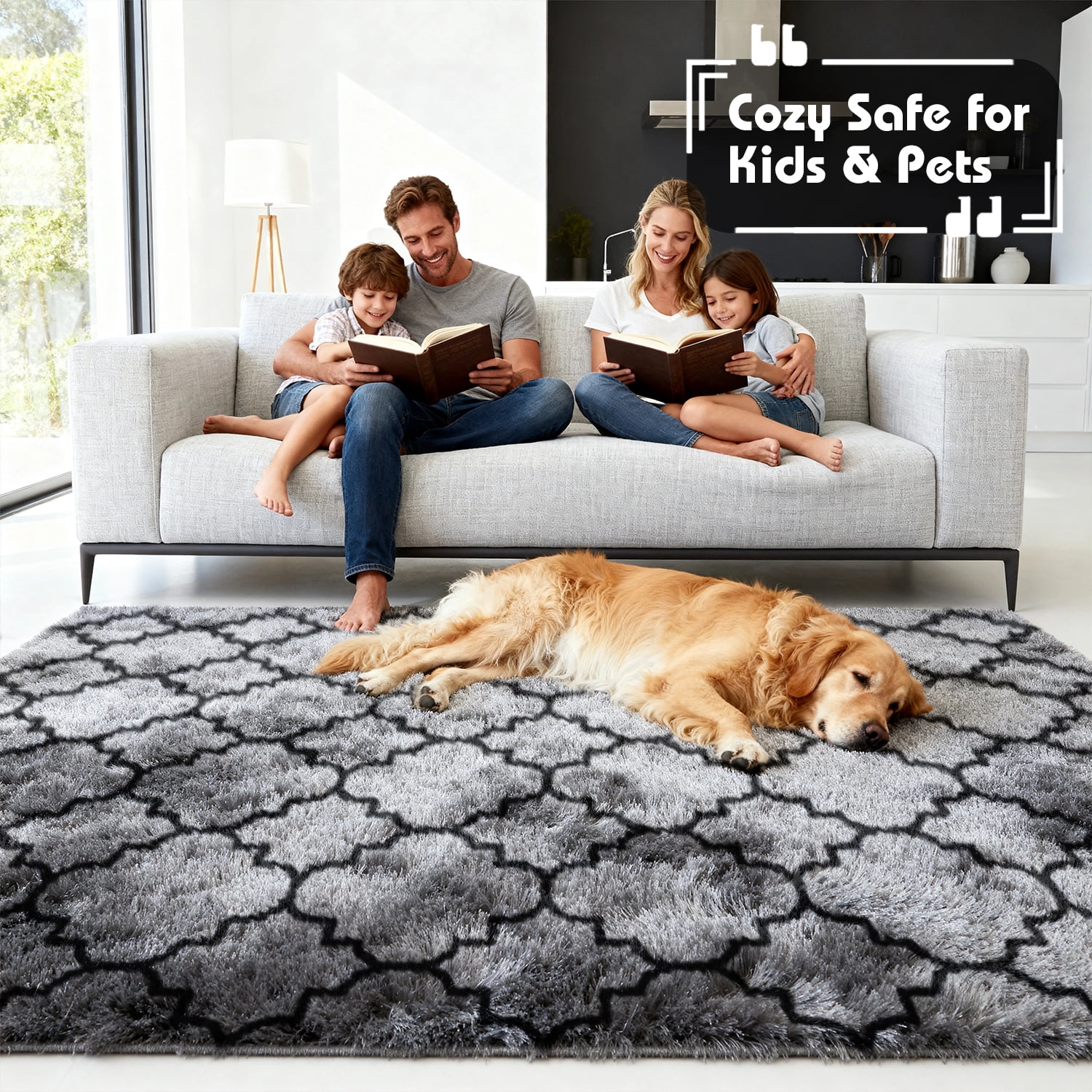 Pentantan Shag Area Rug, 5ft x 8ft Geometric Soft Fluffy Rugs for Living Room Bedroom Indoor Carpet, Gray & Black