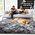 thumbnail image 7 of Pentantan Shag Area Rug, 5ft x 8ft Geometric Soft Fluffy Rugs for Living Room Bedroom Indoor Carpet, Gray & Black, 7 of 7