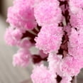 thumbnail image 6 of Cherry Blossom Magic Growing Tree Kit With Base Container And 3-4 Salt Water Packs (30Ml Total) - Grows In 24 Hours, Festive Tabletop Decoration - For Kids, Home, Office, Party,, 6 of 9