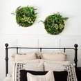 thumbnail image 4 of Nearly Natural Queensland Rainforest  Artificial Round Framed Living Wall Panel - 20", 4 of 9