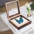 thumbnail image 4 of Miangastore Vitrine pour Spécimens d'Insectes, Boîte en Bois avec Couvercle Transparent, 4 of 9