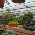 thumbnail image 1 of LOLIPPYY Vegetable Planter Plastic Container for Garden with Drainage Holes 1 Set, 1 of 6