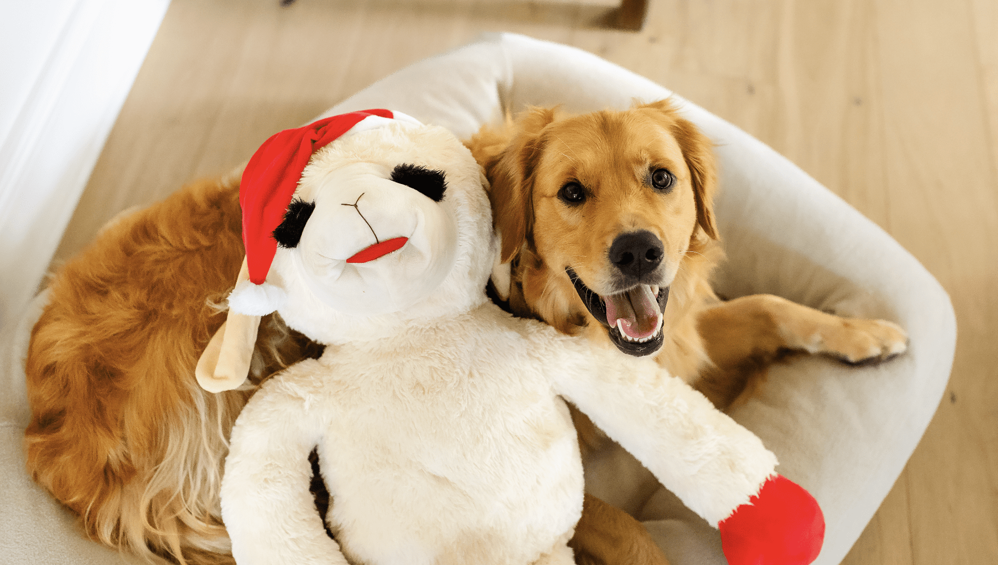 Multipet Holiday Super-Sized Plush Lamb Chop with Santa Hat, 3 Feet Tall, Limited Edition