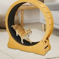 thumbnail image 2 of Zimtown Wooden Cat Exercise Wheel - 43" Pre-Assembled Natural Fiberboard Treadmill for Indoor Cats, Ready-to-Use, 2 of 9