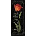 thumbnail image 2 of Audit, Lisa 8x14 White Modern Wood Framed Museum Art Print Titled - Tulipa Botanica II, 2 of 4