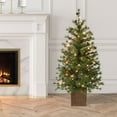 thumbnail image 3 of 4 ft. Pre-Lit Potted Artificial Christmas Tree, 3 of 5