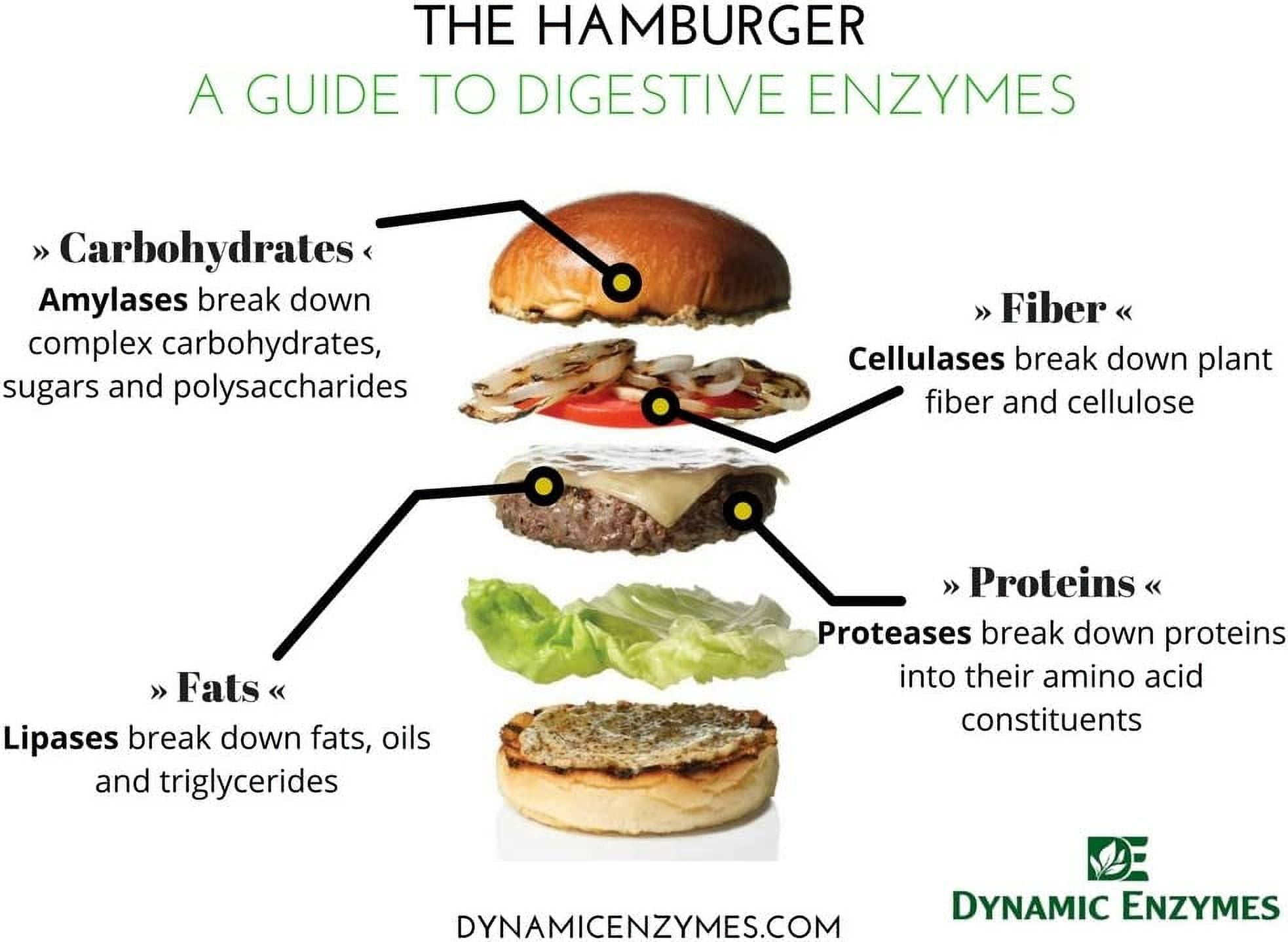 Dynamic Enzymes Eat E-Z - 90 Vegan Capsules