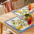 thumbnail image 4 of Summer Botanical Placemats Set of 12, Watercolor Lemons Brown Branch Blue Geometric Frame Non-Slip Place Mats Washable Table Mats for Kitchen Dining Table Decorations Indoor/Outdoor, 4 of 9