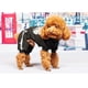 thumbnail image 5 of Ropa para Mascotas Xihbxyly con Diseño de Dinosaurio y calavera para perros, 5 of 6