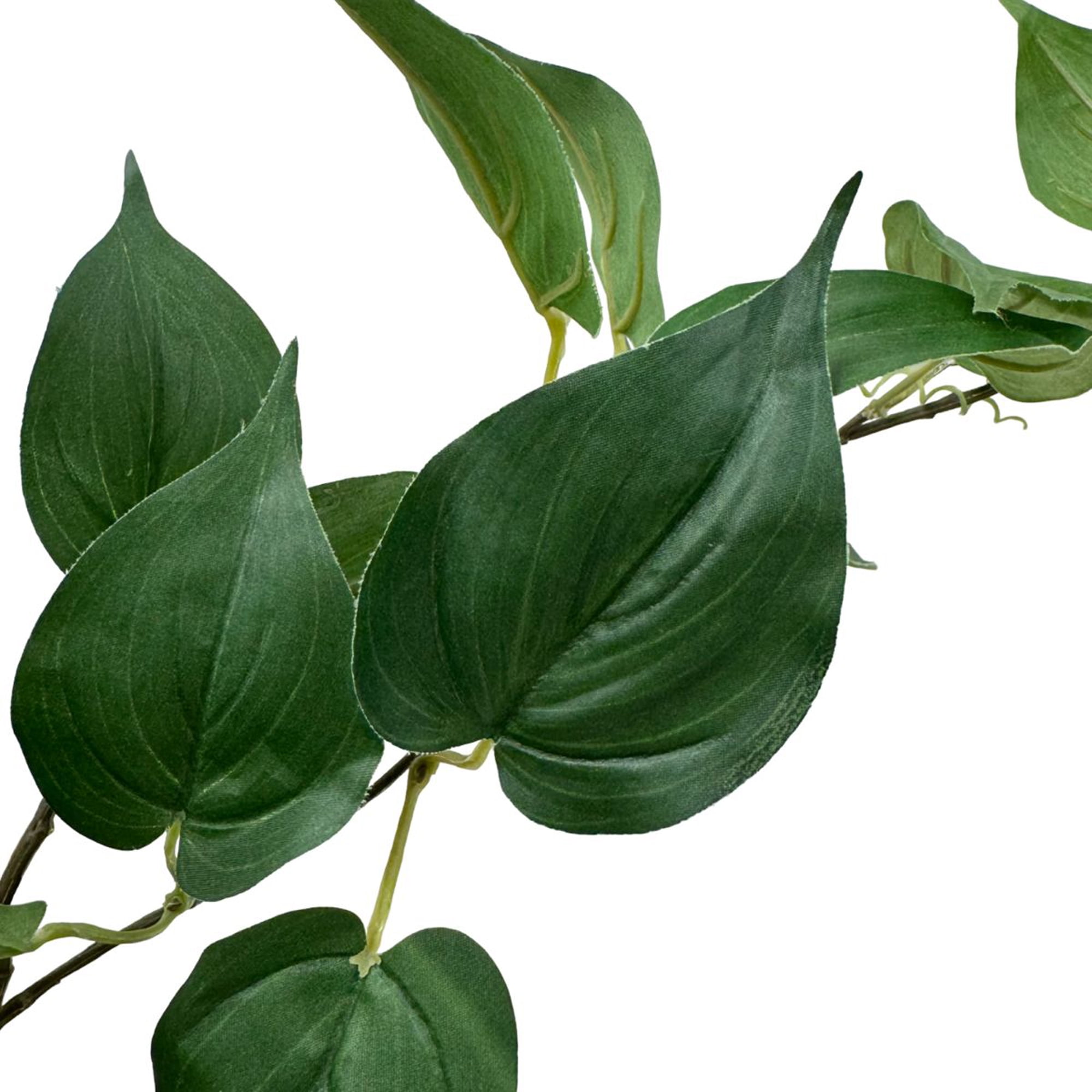 (2 pack) Mainstays 39" Tall Artificial Evergreen Pothos Stem, Indoor Floral Decoration