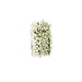 thumbnail image 2 of Bougainvillea Artificial Hanging Flowers Plants for Outdoors Decoration, White Fake Flowers Silk Bougainvillea Vines Realistic UV Resistant Faux Flowers for Outdoor Planters Patio Yard, 2 of 7