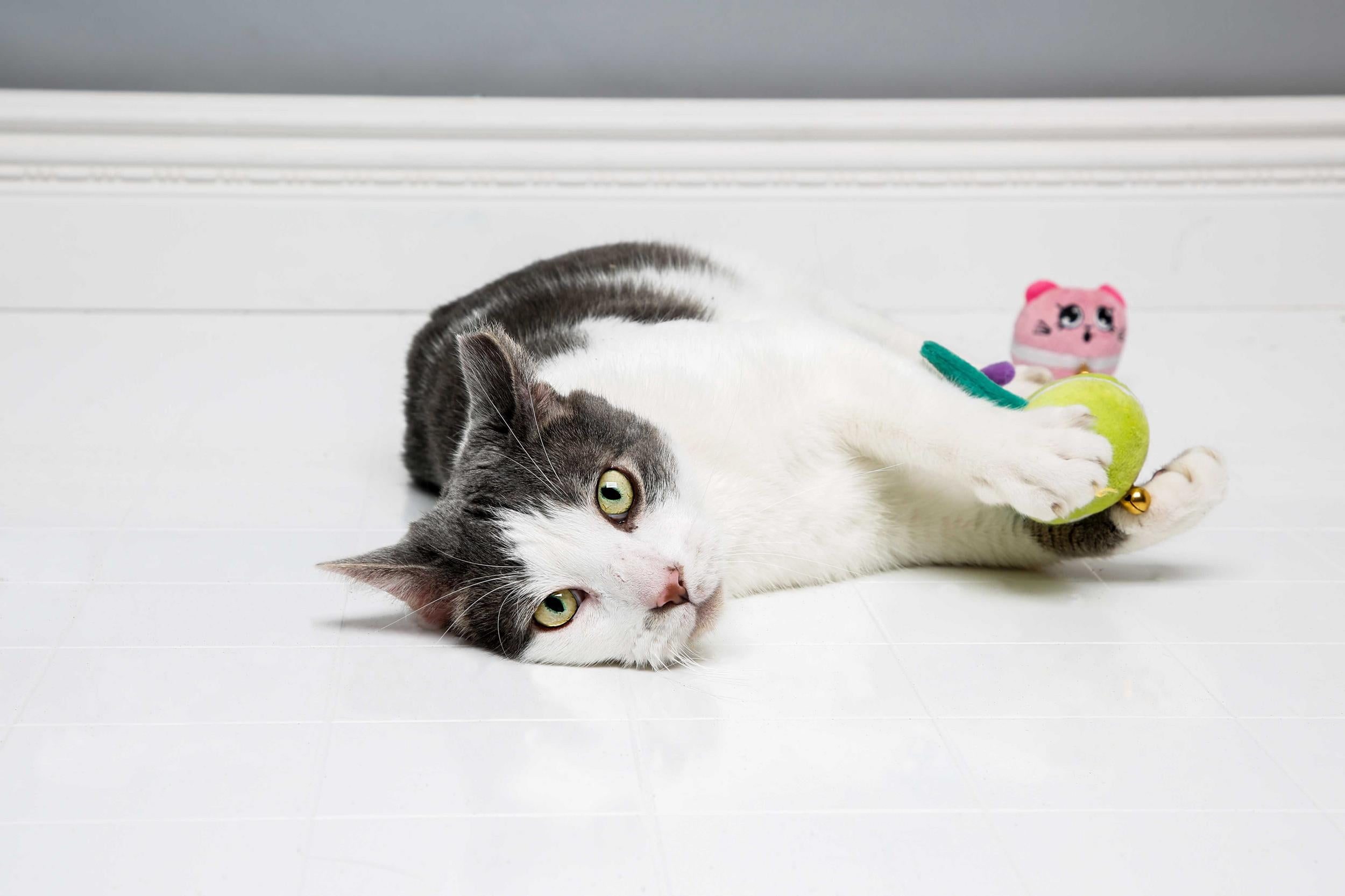 Hartz Cattraction Macaron Mice with Silver Vine and Catnip Cat Toy, 2 Pack